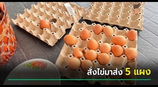ไข่ไก่