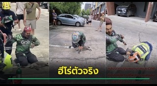 ช่วยเหลือสัตว์