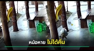 หม้อหุงข้าว