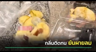 ทุเรียน