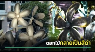 เชียงใหม่
