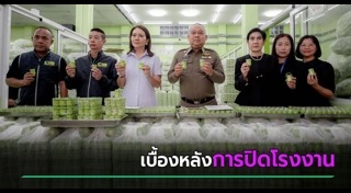 ยาดมหงส์ไทย