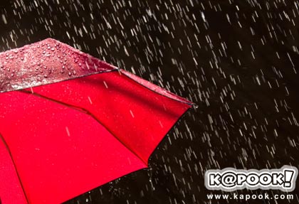 ฝนตก