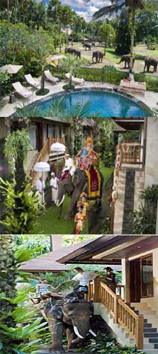  Elaphant Safari Park Lodge บาหลี ประเทศอินโดนีเซีย 