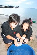 เต่าทะเล 