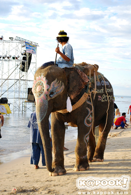 เกาะช้าง