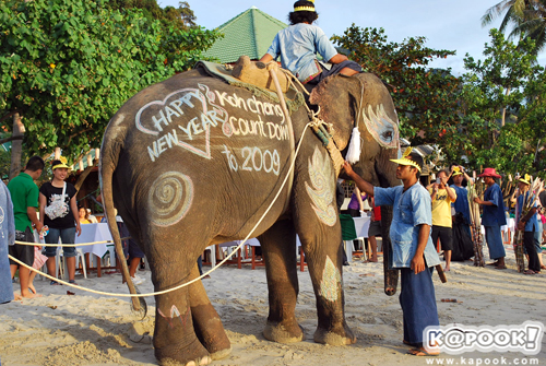 เกาะช้าง