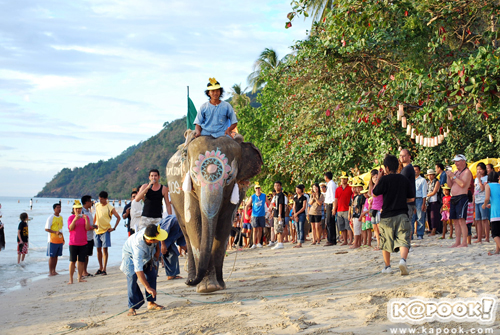 เกาะช้าง