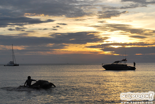 เกาะช้าง
