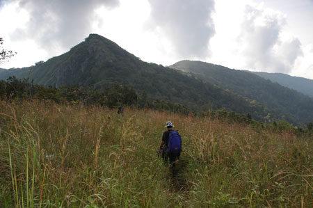 ยอดเขาหลวง สุโขทัย