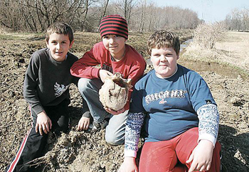 กระดูกแมมมอธ