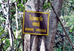 เขาใหญ่