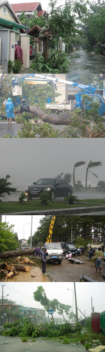 พายุกิสนา พายุกฤษณา ถล่มเวียดนาม