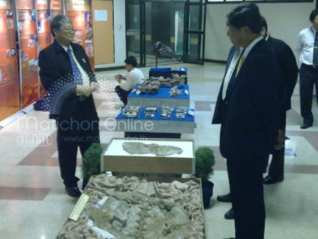 ต้นตระกูลเต่า