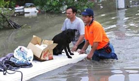 โคลนถล่ม ไต้หวัน 