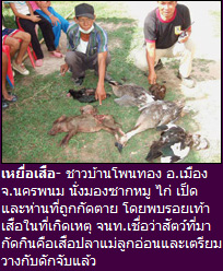 เหยื่อเสือ