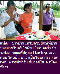 ไข่ยักษ์