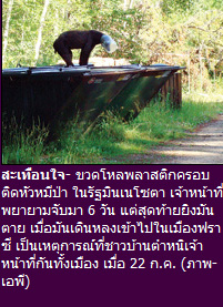 สะเทือนใจ