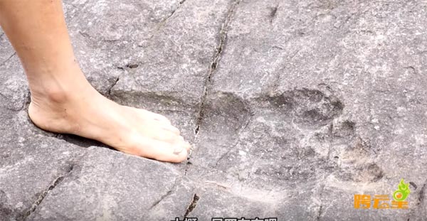 จีนพบรอยเท้ายักษ์ปริศนา ใหญ่กว่ามนุษย์ 2 เท่า เชื่อเป็นบิ๊กฟุตในตำนาน 