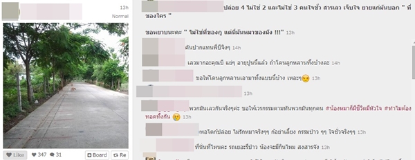 ดาราร่วมประณาม คนขับรถเก๋งใจร้าย เอาสุนัขมาปล่อยทิ้ง