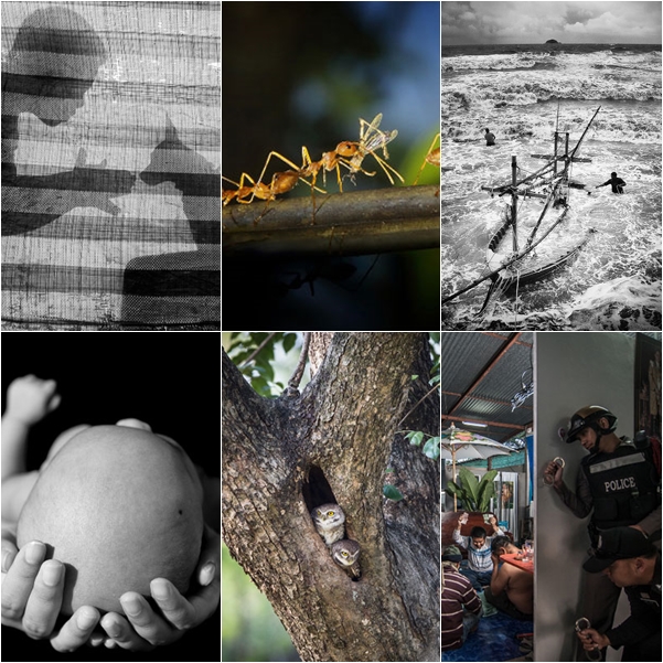 ในหลวง ตัดสินโครงการภาพถ่ายแห่งแผ่นดิน ปี 2557