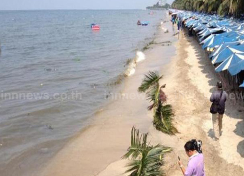 หาดบางแสน คราบน้ำมัน 