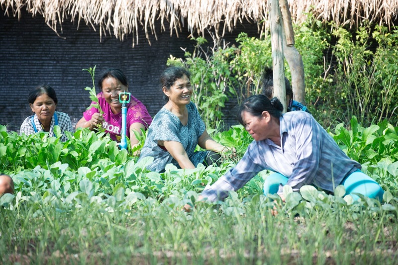 Pidthong Lang Phra Foundation