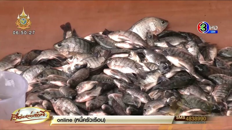 ปลาหมอคางดำ