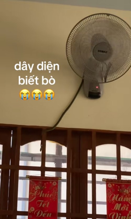 เห็นพัดลมมีสายห้อย ดูแวบแรกไม่คิดอะไร แวบต่อไปเข่าทรุด นี่ไม่ใช่สายไฟ