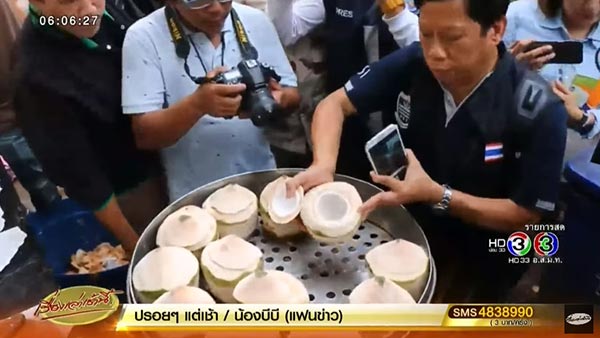 รังนกปลอม