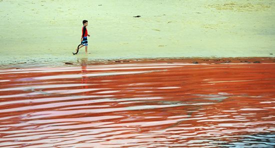 Australia: Blood Red Ocean