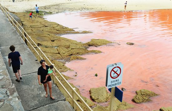 Australia: Blood Red Ocean