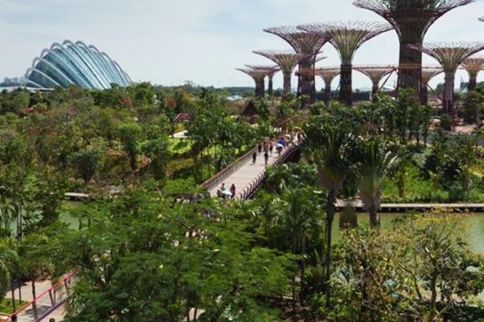 gardens by the bay