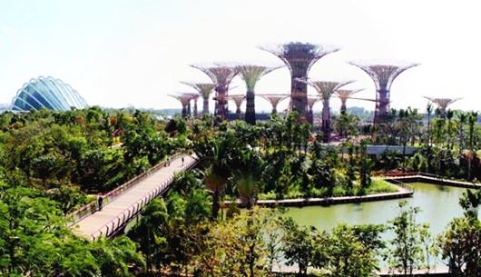 gardens by the bay