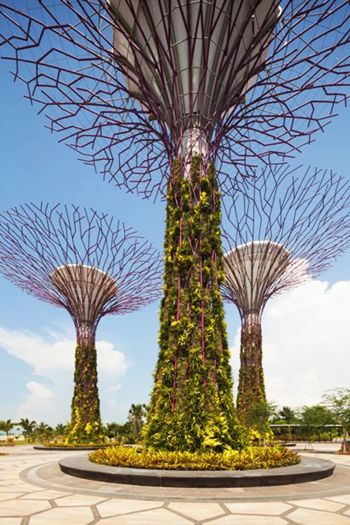 Gardens by the Bay