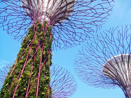 gardens by the bay