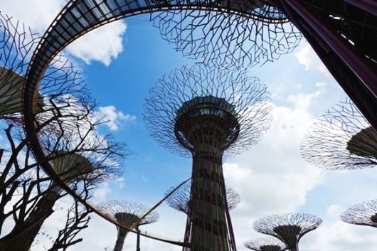 gardens by the bay