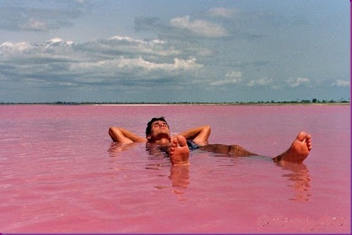 pink lake  senegal  ทะเลสาบสีชมพู