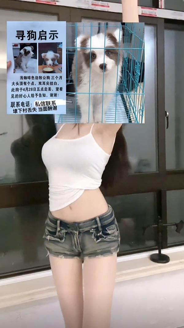 สาวเซ็กซี่ ประกาศตามหาหมา