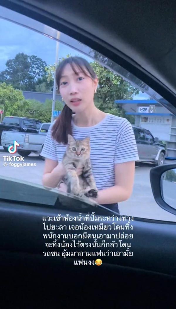 มนุษย์แฟนทาสแมว