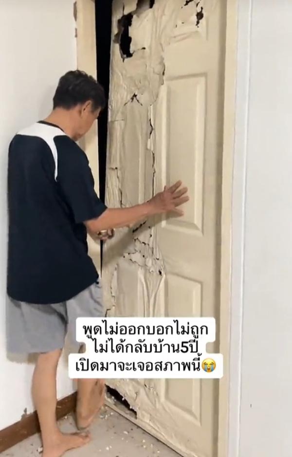 ปลวกกินบ้าน