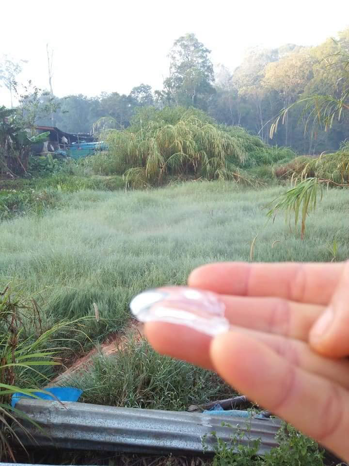 Tourists are dead from cold Phu Hin Rong Kla National Park