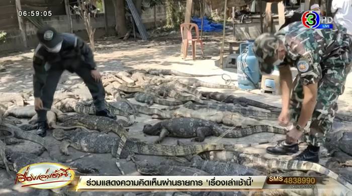 ตัวเงินตัวทอง