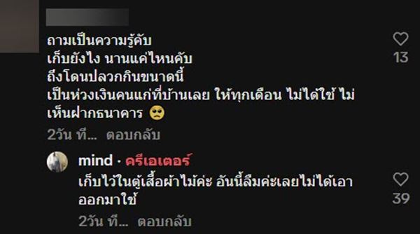 ปลวกกินเงิน