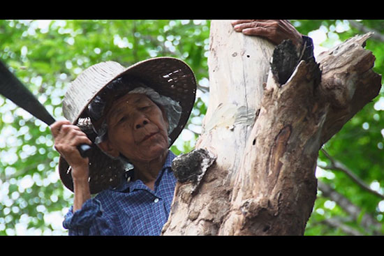  ความสุขบนผืนดินของ ยายเตียว คล้ายคลึง หญิงชราผู้ทรนง