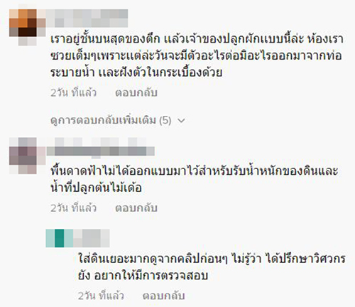 ปลูกผักดาดฟ้าคอนโด