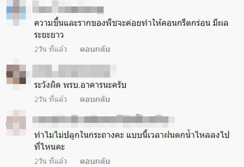 ปลูกผักดาดฟ้าคอนโด