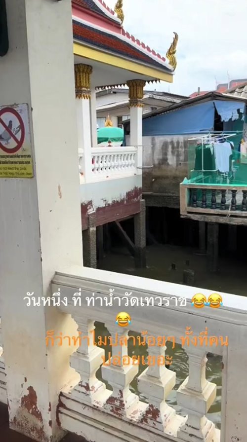 ปล่อยปลา