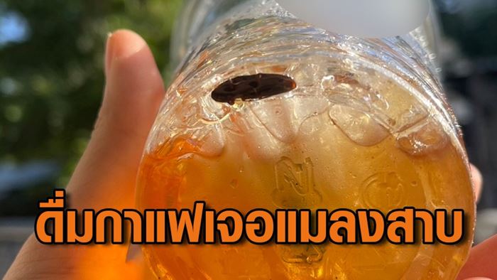 แมลงสาบในกาแฟ