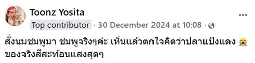 นมชมพู ซื้อมาดื่ม เห็นแล้วก็สงสัย จะชมพูไปไหน